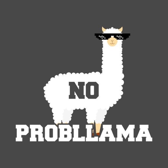 llama_mama19